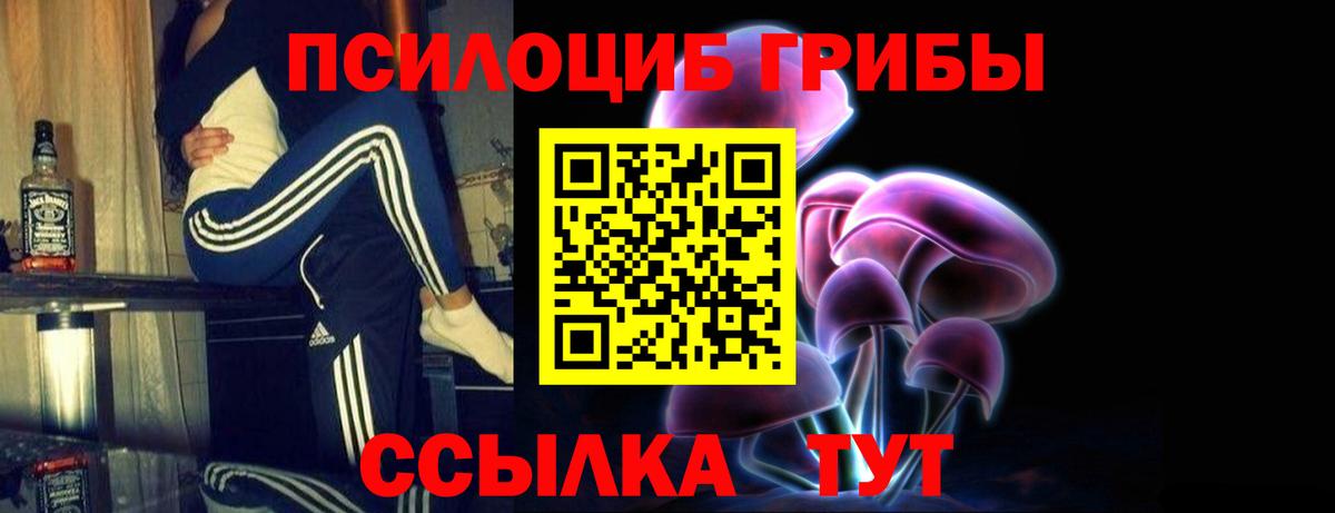 Галлюциногенные грибы Psilocybine cubensis Мытищи