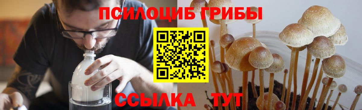 Галлюциногенные грибы Magic Shrooms  Вход с VPN  Мытищи  Псилоцибиновые грибы мицелий 